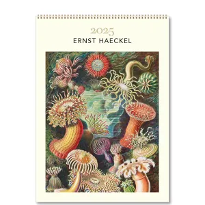 2025 Medium Calendar - Ernst Haeckel