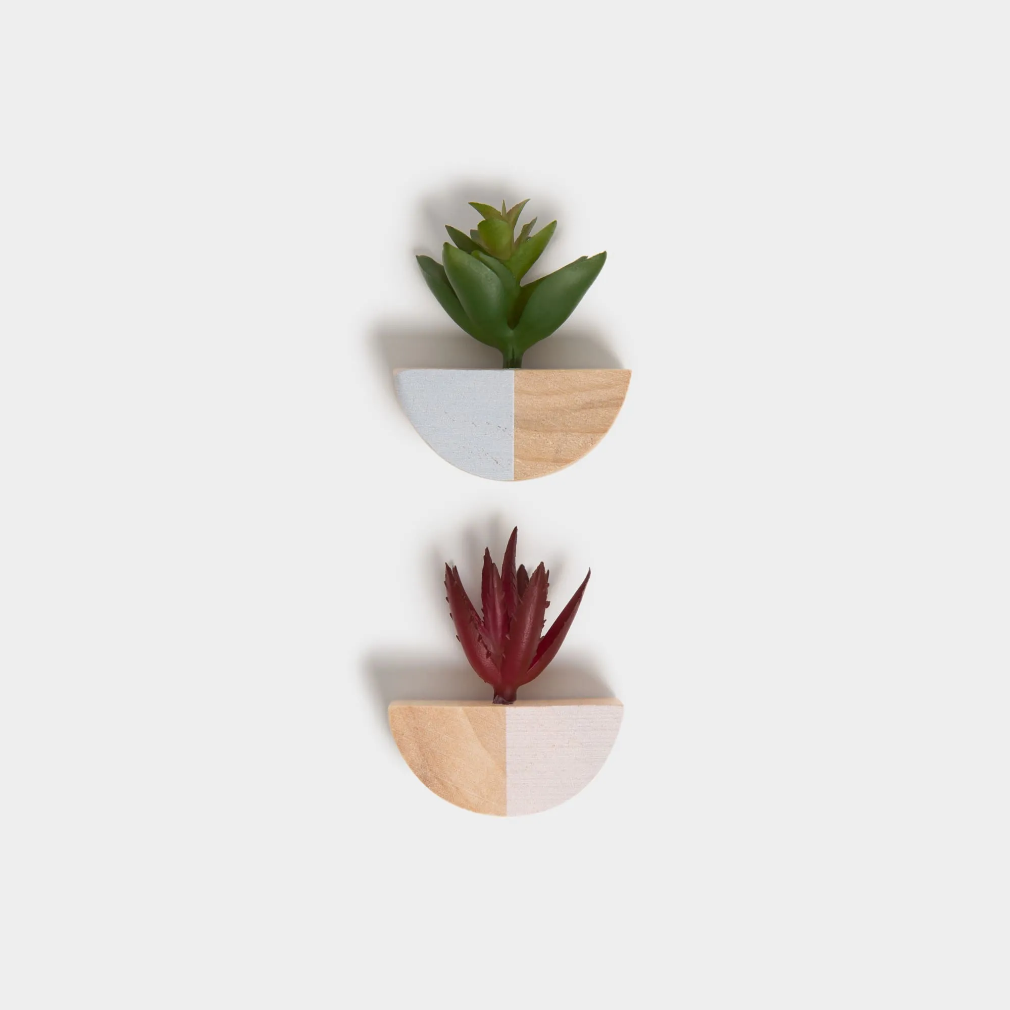 U Brands Succulent Attractions Magnets, 2 CT
